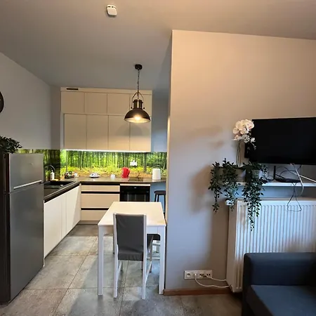 Nowoczesny Z Garazem I Balkonem Mokotow Warszawa