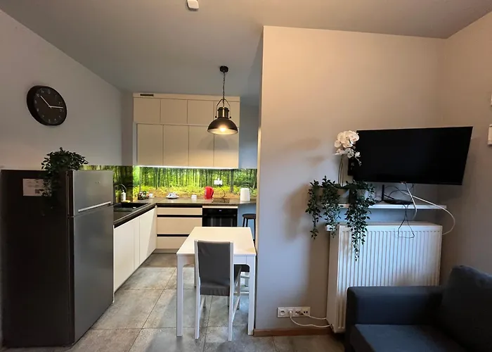 Nowoczesny Z Garazem I Balkonem Mokotow Warsaw