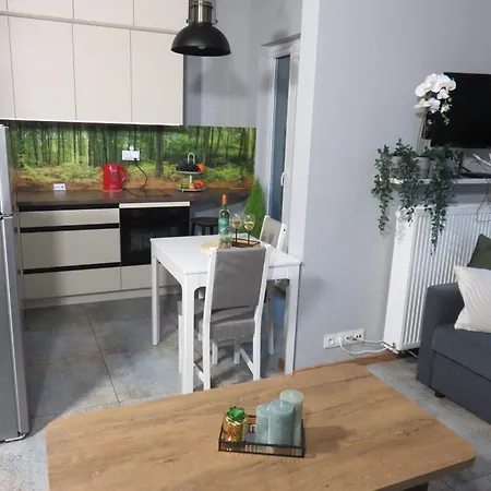 Nowoczesny Z Garazem I Balkonem Mokotow דירה *